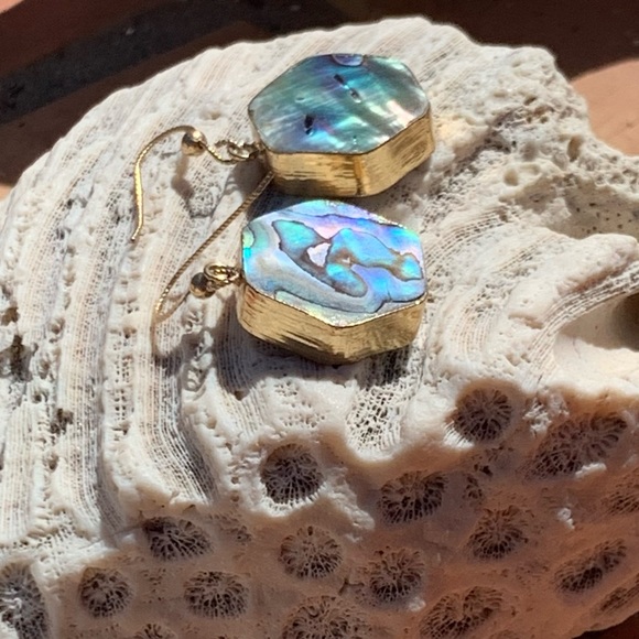 New Solid Abalone Shell Hanging Earrings - Picture 3 of 5